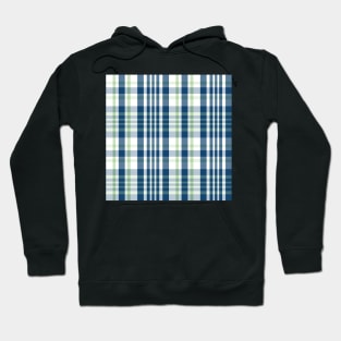 Summer Aesthetic Sorcha 1 Hand Drawn Textured Plaid Pattern Hoodie